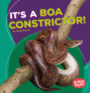 It's a Boa Constrictor!