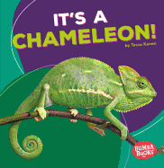 Its a Chameleon