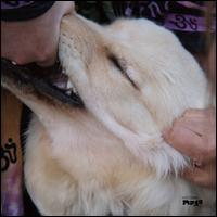 It's Hard for Me to Say I'm Sorry [LP] - Christian Fennesz & Jim O'Rourke