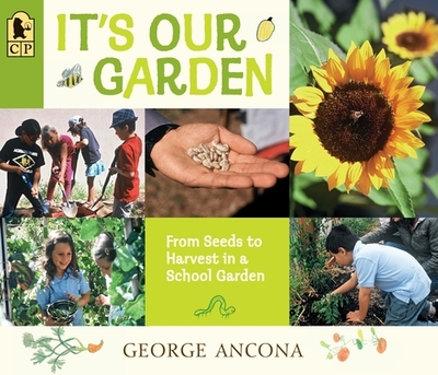 It's Our Garden: From Seeds to Harvest in a School Garden - 