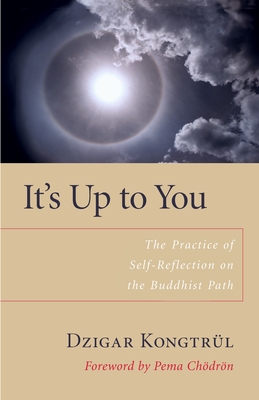 It's Up to You: The Practice of Self-Reflection on the Buddhist Path - Kongtrul, Dzigar, and Chodron, Pema (Read by), and Ricard, Matthieu (Preface by)