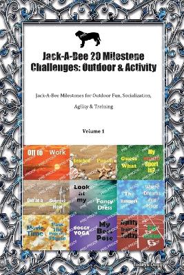 Jack-A-Bee 20 Milestone Challenges: Outdoor & Activity Jack-A-Bee Milestones for Outdoor Fun, Socialisation, Agility, Training Volume 1 - Doggy, Todays