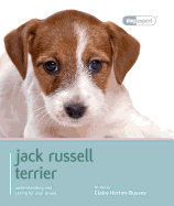 Jack Russell Terrier - Dog Expert