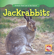 Jackrabbits