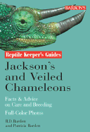 Jackson's and Veiled Chameleons: Facts & Advice on Care and Breeding