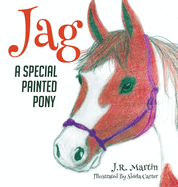 Jag: A Special Painted Pony