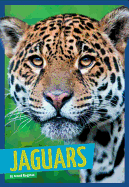 Jaguars