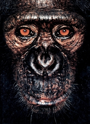 James Mollison: James & Other Apes - Mollison, James (Photographer), and Goodall, Jane, Dr., PhD (Text by)
