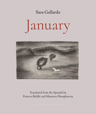 January - Gallardo, Sara, and Riddle, Frances (Translated by), and Shaughnessy, Maureen (Translated by)