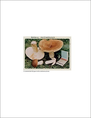 Jason Fulford: The Mushroom Collector - Fulford, Jason, and De Rita, Lorenzo (Editor)