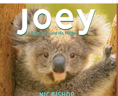 Joey: A Baby Koala and His Mother - 