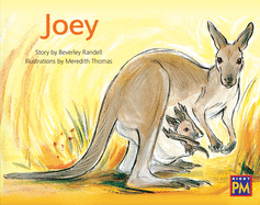 Joey: Leveled Reader Green Fiction Level 14 Grade 1-2
