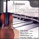 Johannes Brahms: Sonatas