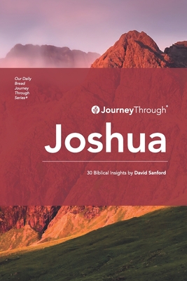 Journey Through Joshua: 30 Biblical Insights by David Sanford - Sanford, David