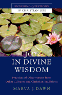 Joy in Divine Wisdom: Practices of Discernment from Other Cultures and Christian Traditions - Dawn, Marva J