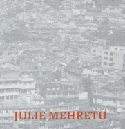 Julie Mehretu: Black City - Mehretu, Julie, and Rubio, Agustn Prez (Text by), and Steinweg, Marcus (Text by)