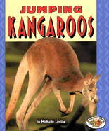 Jumping Kangaroos