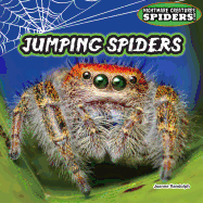 Jumping Spiders