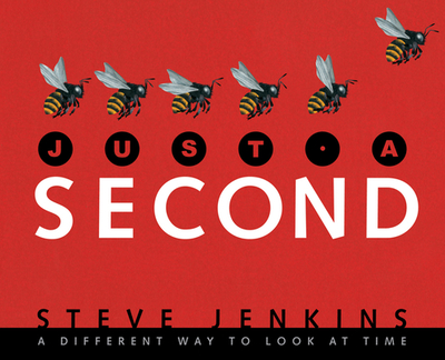 Just a Second: A Different Way to Look at Time - Jenkins, Steve