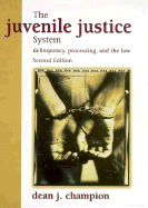 Juvenile Justice System: Delinquency Processing and the Law