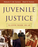 Juvenile Justice: The System, Process and Law