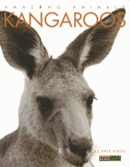 Kangaroos