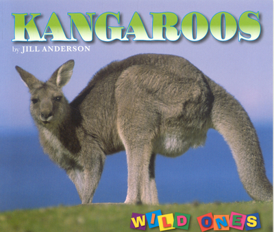 Kangaroos - Anderson, Jill