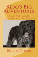 Kebo's Big Adventures: Life Is What You Make It
