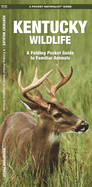 Kentucky Wildlife: A Folding Pocket Guide to Familiar Animals