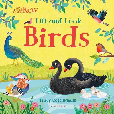 Kew: Lift and Look Birds - 