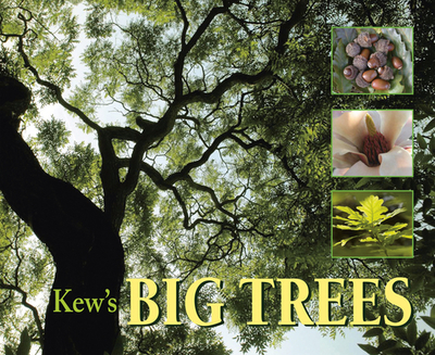 Kew's Big Trees - Harrison, Christina