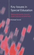 Key Issues in Special Education: Raising Standards of Pupils' Attainment and Achievement