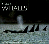 Killer Whale (Wll Old Edition