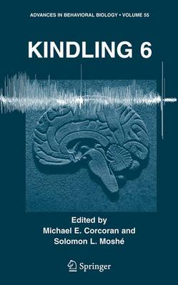 Kindling 6 - Corcoran, Michael E (Editor), and Mosh, Solomon L (Editor)