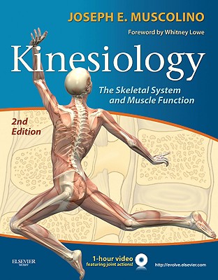 Kinesiology: The Skeletal System and Muscle Function - Muscolino, Joseph E, Dr., DC