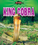 King Cobra