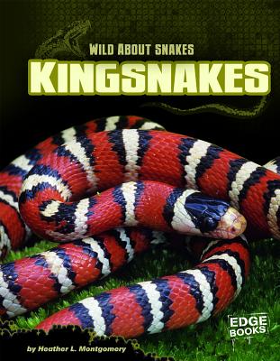 Kingsnakes - Montgomery, Heather L