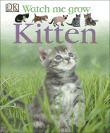 Kitten - Magloff, Lisa