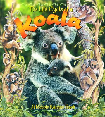 Koala - Kalman, Bobbie