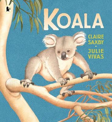 Koala - Saxby, Claire
