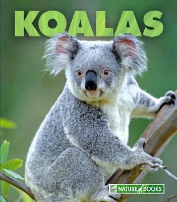 Koalas - Lee, Sandra