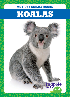 Koalas - Deniston, Natalie
