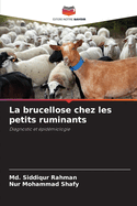 La brucellose chez les petits ruminants