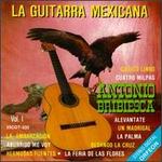 La Guitarra Mexicana