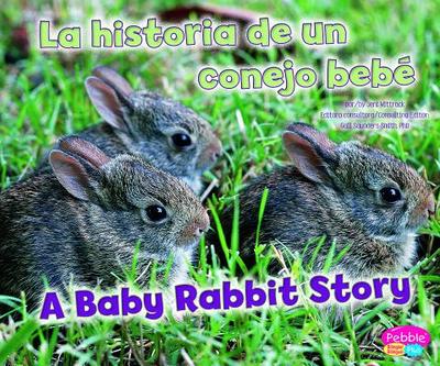 La Historia de un Conejo Bebe/A Baby Rabbit Story - Wittrock, Jeni