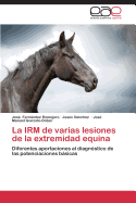 La Irm de Varias Lesiones de La Extremidad Equina