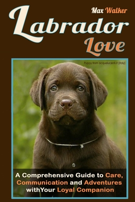 Labrador Love: A Comprehensive Guide to Care, Communication, and Adventures with Your Loyal Companion - From Labrador Retriever Origins to Training and Health: Everything You Need to Know to Forge a Deep Connection with Your Dog - Walker, Max