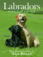 Labradors: Work, Rest and Play