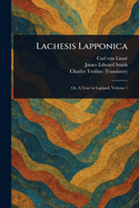 Lachesis Lapponica