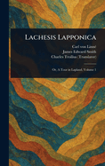 Lachesis Lapponica